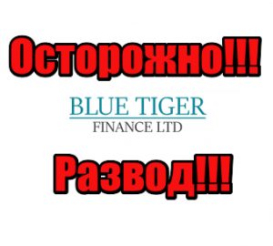 Blue Tiger Finance